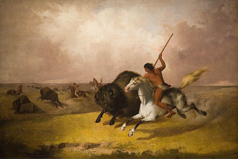 John Mix Stanley Buffalo Hunt on the Southwestern Prairies France oil painting art